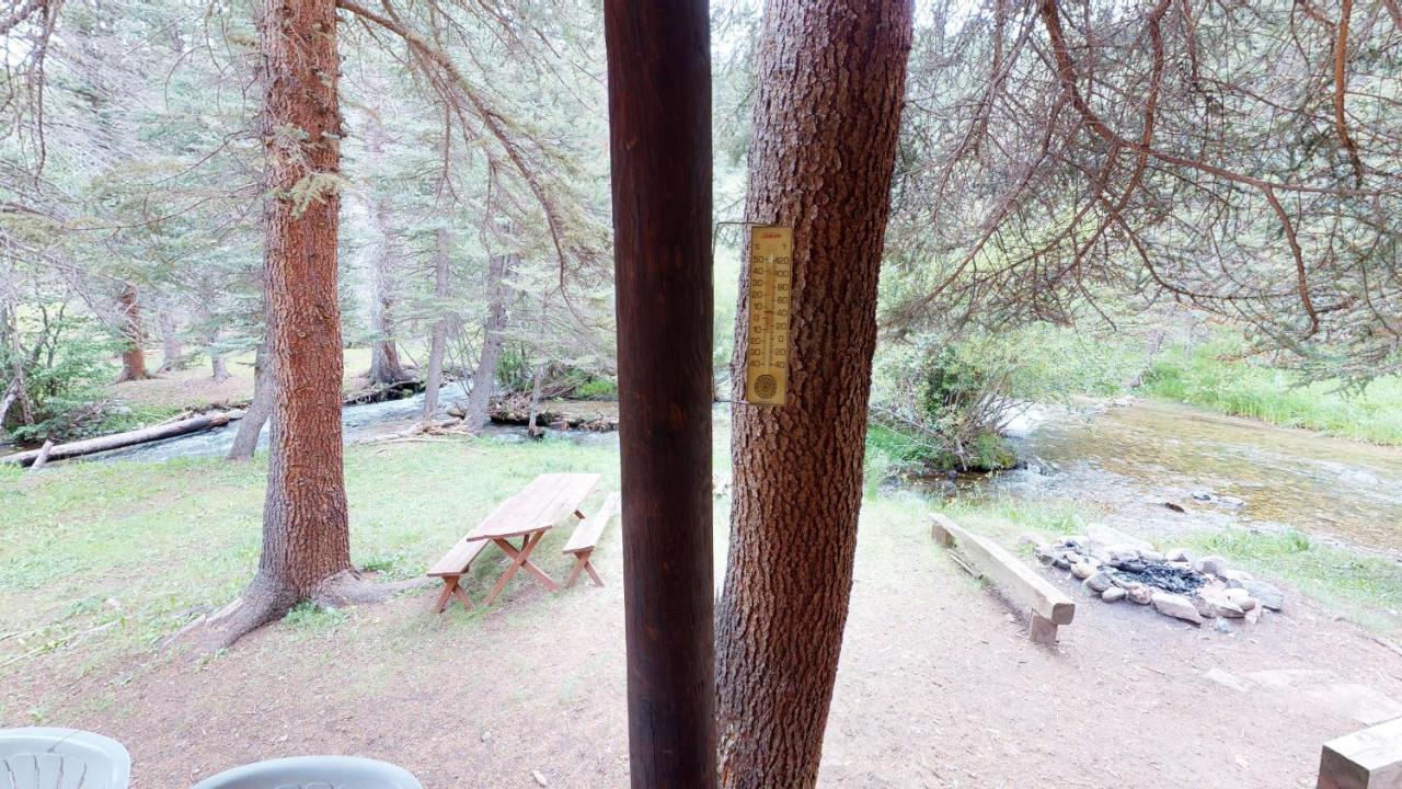 Bear Bait Cabin In Upper Valley With High Speed Wifi Red River Eksteriør billede
